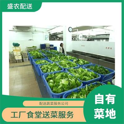 羅陽鎮飯堂食材配送服務公司 農副產品配送與大型批發市場的平價送菜服務